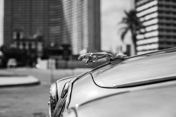 PocketWin Kazino Android/iOS Lietotne