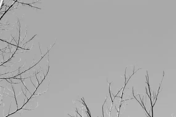 PocketWin Kazino Atbalsts